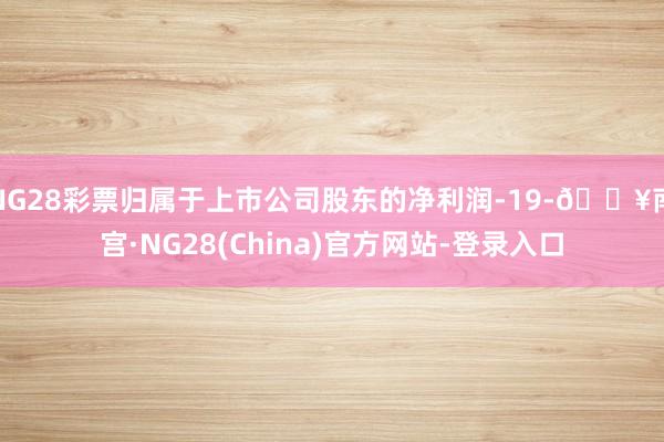 NG28彩票归属于上市公司股东的净利润-19-🔥南宫·NG28(China)官方网站-登录入口